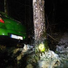Antrąją Kalėdų dieną „Mazda“ rėžėsi į medžius, sužeisti keturi žmonės