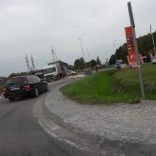 Neįprastas eismo įvykis: Alytuje kelią užblokavo vištos