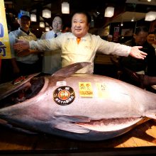 Japonas aukcione už milžinišką tuną paklojo 1,6 mln. eurų