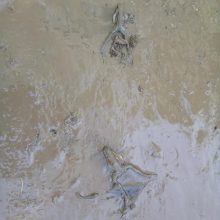 Unikalią erdvę užliejo vanduo: per purvą ir varles nesimato autentiško grindinio