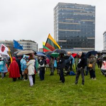 Šeimų sąjūdžio mitinge – ir Seimo nariai: protestuotojai piktinosi valdžios sprendimais