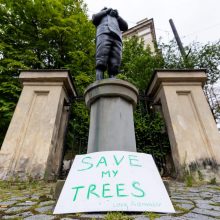 „Dobilo daigas“: medžių nekirsime, kol nesulauksime institucijų verdikto 