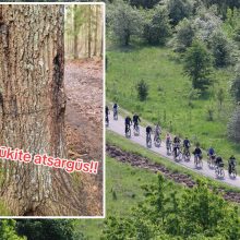 Kas vyksta Kleboniškio miške: prabilo apie mirtinus spąstus dviratininkams
