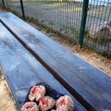Vilnietė įspėja šunų šeimininkus: keturkojų aikštelėje rado mėsos kukulių su nuodais