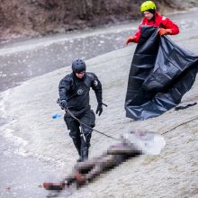 Garliavos parko upelyje aptiktas jame įšalusio nežinomo vyro kūnas 