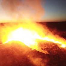 Š. Jasiukevičius: ugniagesiai Černobylio zonoje fiksuoja išaugusią radiaciją