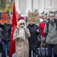 Į A. Astrauskaitės mitingą dalyvių susirinko negausiai: policija sulaikė du žmones