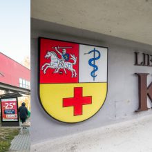 Situacija: Evelinos artimiesiems abejonių kyla ir dėl LSMU Kauno ligoninės, ir Kauno klinikų medikų taikyto gydymo.