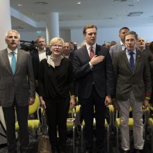 V. Landsbergis: visuomeniniai komitetai – savų „chebrutės“ ir „gaujelės“