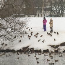 Po A. Navalno sulaikymo – piketas prie Rusijos ambasados Vilniuje 