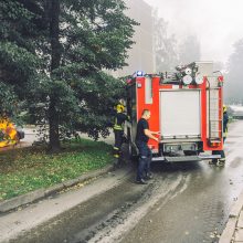 Eiguliuose užsidegė stovėjęs automobilis