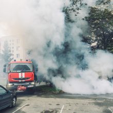 Eiguliuose užsidegė stovėjęs automobilis