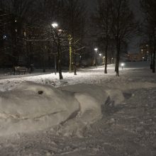 Žiemos grožis: Šilainiuose iš sniego sukurti ir sportiniai automobiliai, ir egzotiniai gyvūnai
