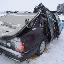 Alytaus rajone su vilkiku susidūrusio automobilio vairuotojas žuvo, moteris komoje