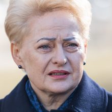D. Grybauskaitė: valdantiesiems reiktų elgtis diplomatiškiau