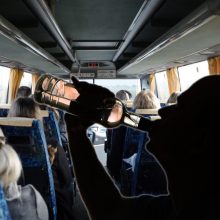Nauja realybė viešajame transporte: narkomanų primėtyti švirkštai, sumušti keleiviai