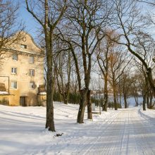 Nykstantį Linkuvos dvaro parką Kaunas sieks prikelti antram gyvenimui