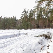 Už ES lėšas sutvarkytas privatus parkas Kauno rajone – atviras?