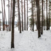 Už ES lėšas sutvarkytas privatus parkas Kauno rajone – atviras?