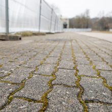 Kauniečiai atkreipė dėmesį: Santakos parke tuoj vėl karaliaus darbininkai