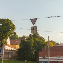 Ministerija: rombai Kauno gatvėse – savivalė