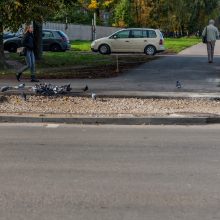 Apie tvarkomą sankryžą Kaune: vėl eilinė darbininkų arba savivaldybės „kliurka“