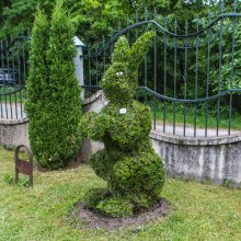 Menininkas: žaliosios skulptūros – augalų grožio ir žmogaus išmonės darna