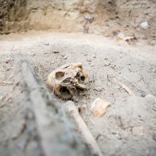 Archeologų radiniai keičia Kauno istoriją