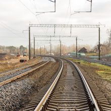 Palemono galvos skausmas – „Rail Baltica“