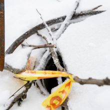 Sniego spąstai: ugniagesiams teko gelbėti į atvirą šulinį įkritusį nelaimėlį