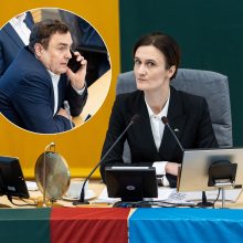Seime – karšta: P. Gražulis apkaltino V. Čmilytę-Nielsen dangstant pedofiliją