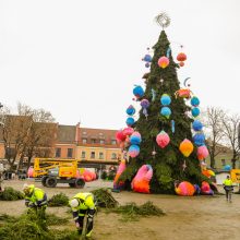 Prieš įžiebimą: ant pagrindinės Kauno eglės dėliojami paskutiniai akcentai!