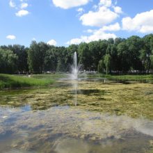 Kalniečių parko tvenkinys liko be fontano: ieškoma sprendimų vėl paleisti vandens purslus