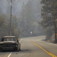 Kalifornijos gubernatorius: gaisrus skatina klimato kaita