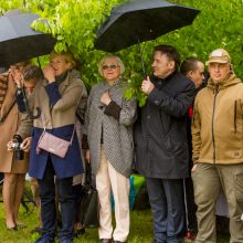 Spalvingo pikniko tarp sakurų nesugadino ir apniukęs dangus