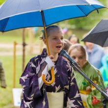 Spalvingo pikniko tarp sakurų nesugadino ir apniukęs dangus