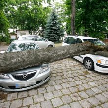 Stiprus vėjas vertė medžius: Kaune vienas apgadino automobilį