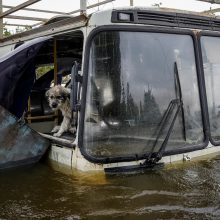 Kachovkos užtvankos griūties aukų skaičius auga, ieškomi dingę be žinios