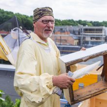 Naujovė Kaune: ant verslo centro stogo apgyvendintos bitės