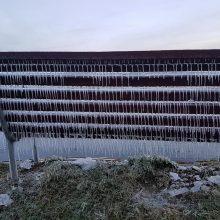 Išskirtinės ledo skulptūros Nidoje – geros naujienos Stintapūkio organizatoriams