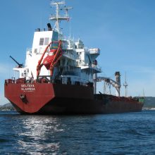 Desperacijos pabaiga: „Lietuvos jūrų laivininkystei“ iškelta bankroto byla