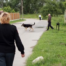 Klaipėdos mieste šunų augintojus dar mėginama kontroliuoti.