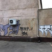 Uostamiesčio grafitininkai varo į neviltį