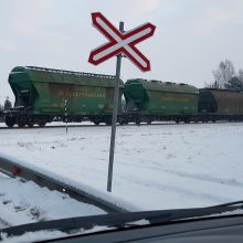 Tranzitas: „Belaruskalij“ trąšos yra dažniausiai per Lietuvą gabenamas baltarusiškas krovinys.