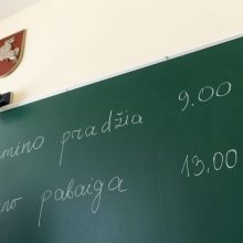 Pykčiai dėl sakinio lietuvių kalbos egzamine: tik intelektualus žmogus supras šitą palyginimą