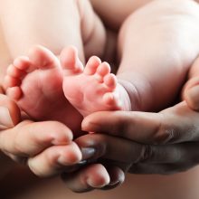 Kodėl moterys embrionus vadina snaigėmis?