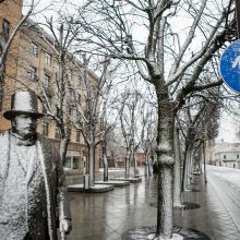 Žiema dar nenori trauktis: pavasarišką saulę Kaune pakeitė sniegas