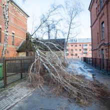 Kaunas ūžia: smarkus vėjas nunešė namo stogą, išvartė medžius