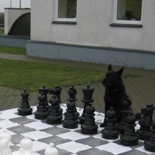Pradinukai aviganį mokė žaisti šachmatais