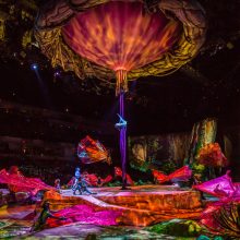 „Cirque du Soleil“ artistų gretose – olimpiniai čempionai